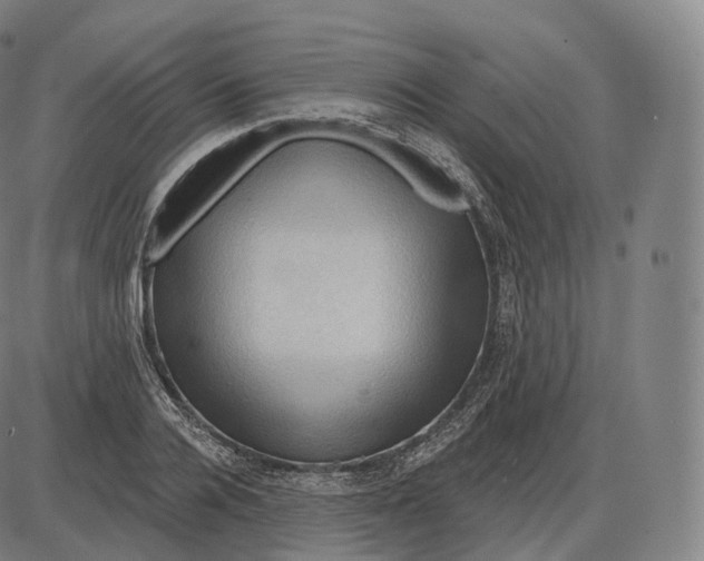 X0000083970936200703161527