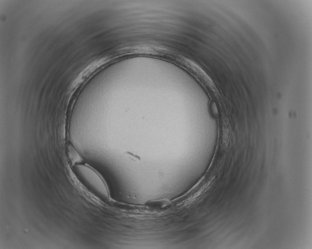 X0000083970938200703161527