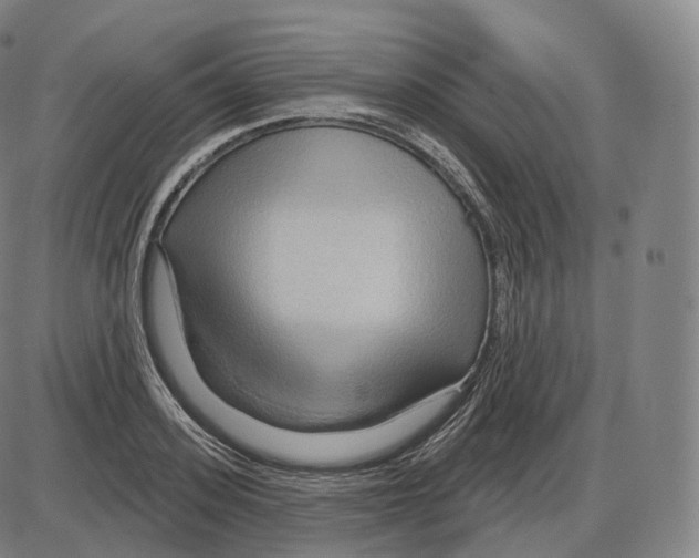 X0000083970939200703161527