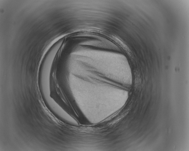 X0000083970940200703161528