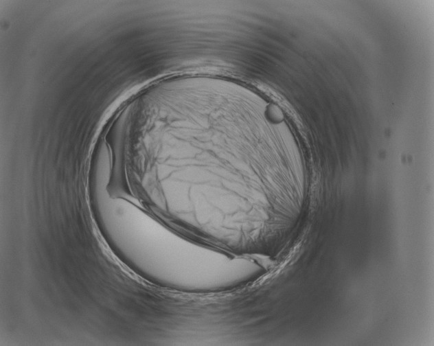 X0000083970941200703161528