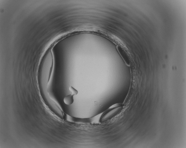 X0000083970942200703161528