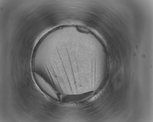 X0000083970943200703161528