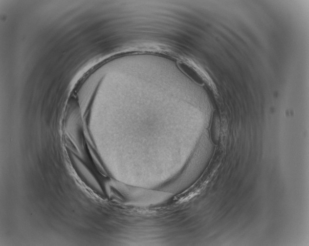 X0000083970944200703161528