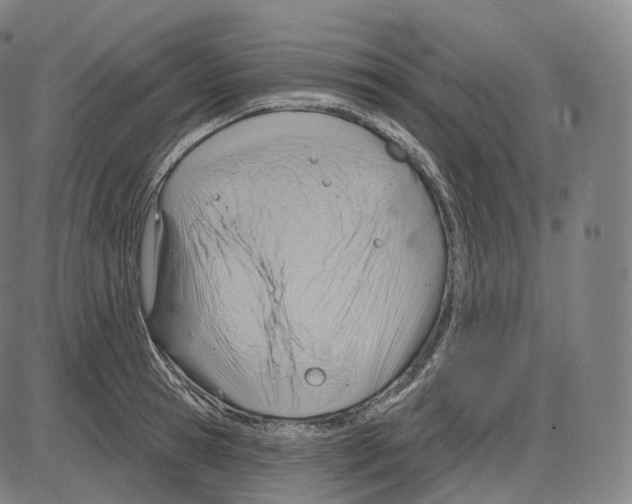 X0000083970945200703161528