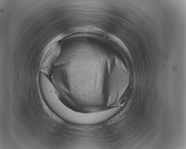 X0000083970946200703161528