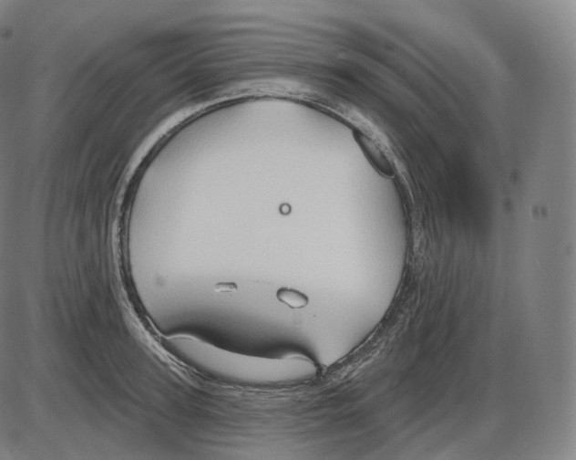 X0000083970947200703161528