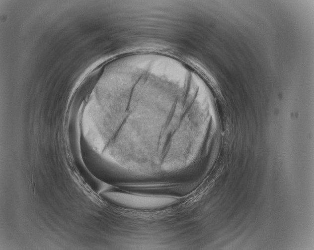 X0000083970948200703161528