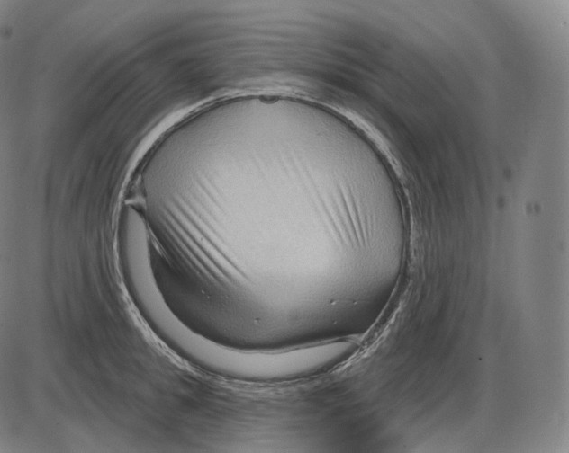 X0000083970949200703161528