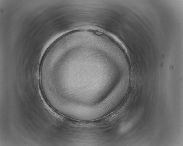 X0000083970951200703161528