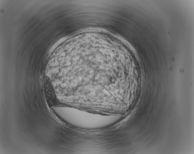 X0000083970953200703161528