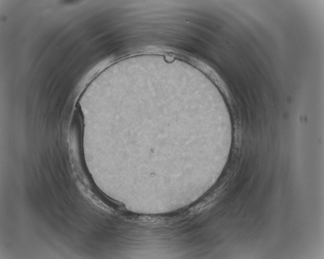 X0000083970954200703161528