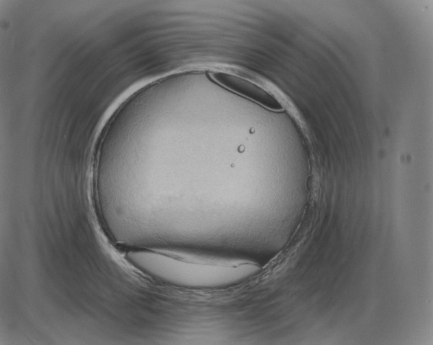 X0000083970955200703161528