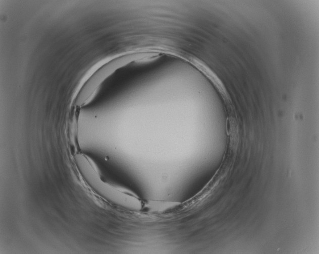 X0000083970956200703161528