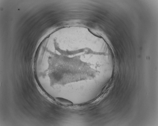 X0000083970957200703161528