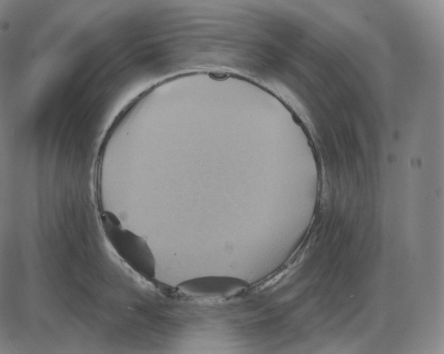 X0000083970958200703161528