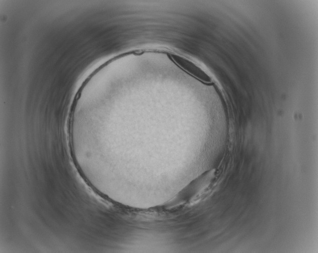 X0000083970959200703161528