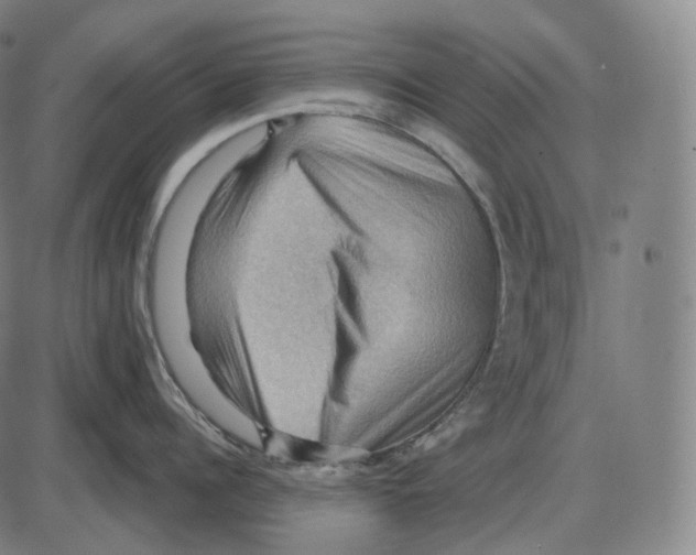 X0000083970960200703161528