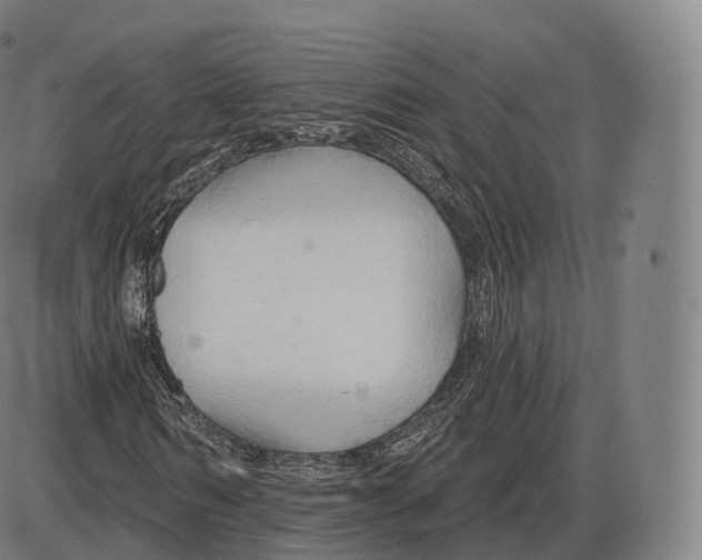 X0000083970962200703161527