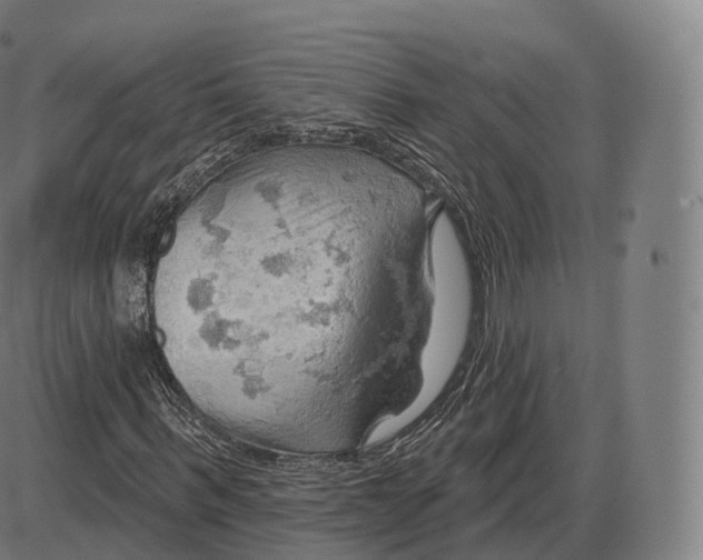 X0000083970963200703161527