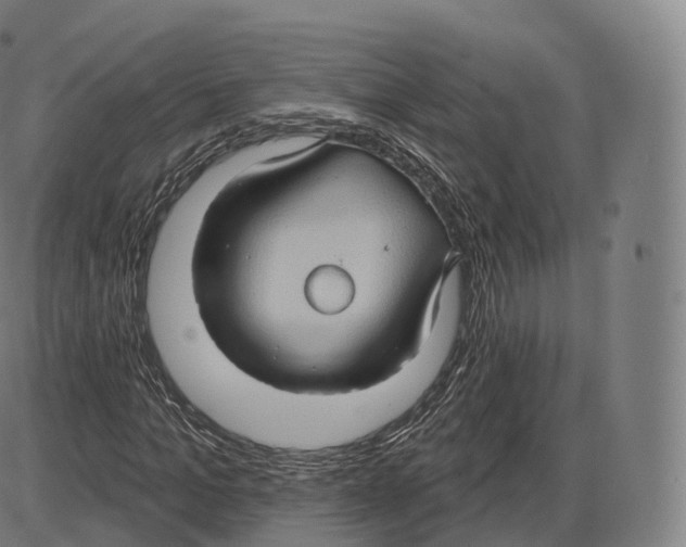 X0000083970965200703161527