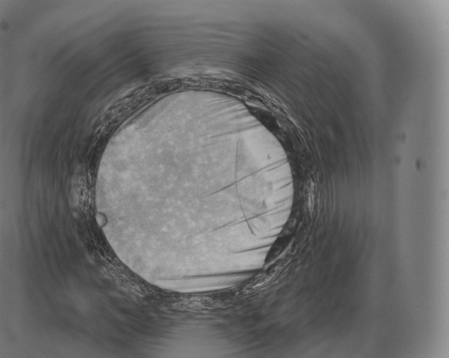 X0000083970966200703161527