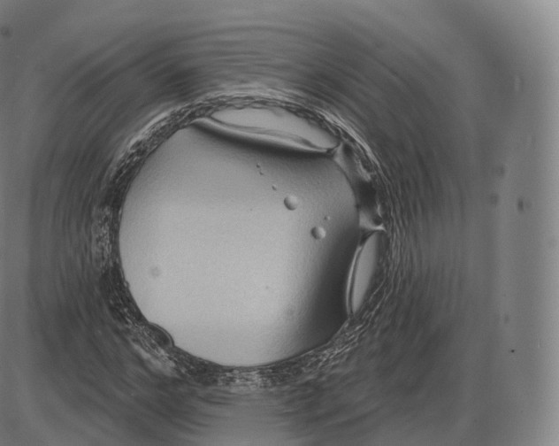 X0000083970968200703161527