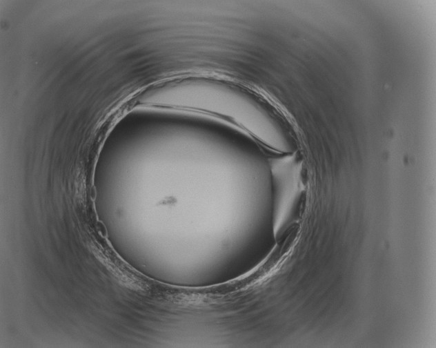 X0000083970969200703161527