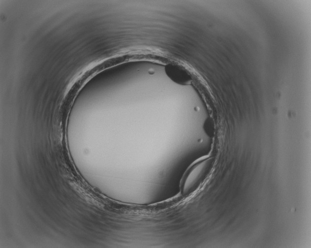 X0000083970973200703161527