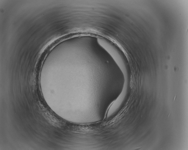 X0000083970975200703161527