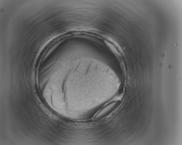 X0000083970976200703161527