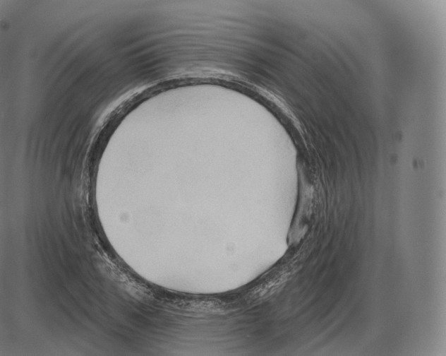 X0000083970979200703161527