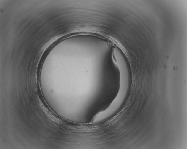 X0000083970980200703161527