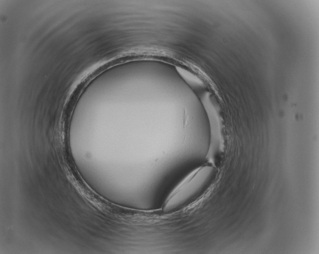 X0000083970981200703161527