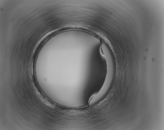 X0000083970984200703161527