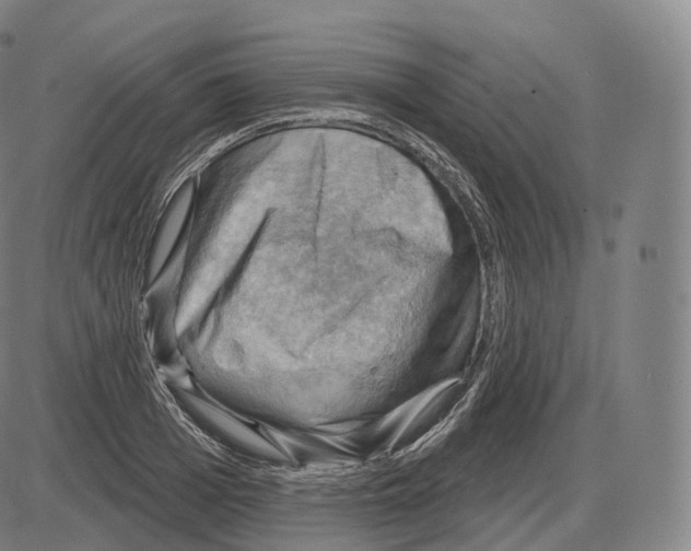 X0000083970985200703161527