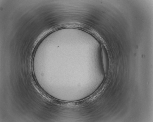 X0000083970986200703161527