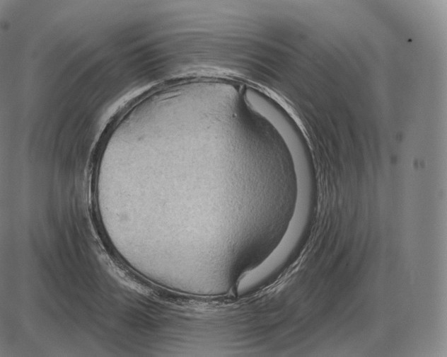 X0000083970987200703161527