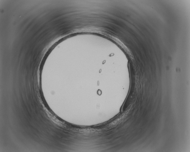 X0000083970988200703161527