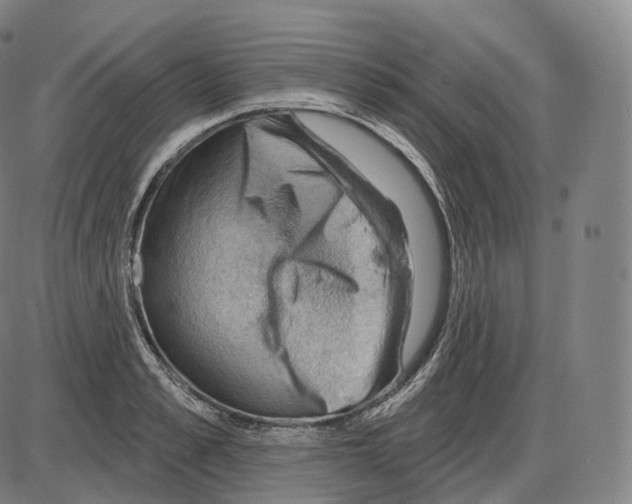 X0000083970989200703161527