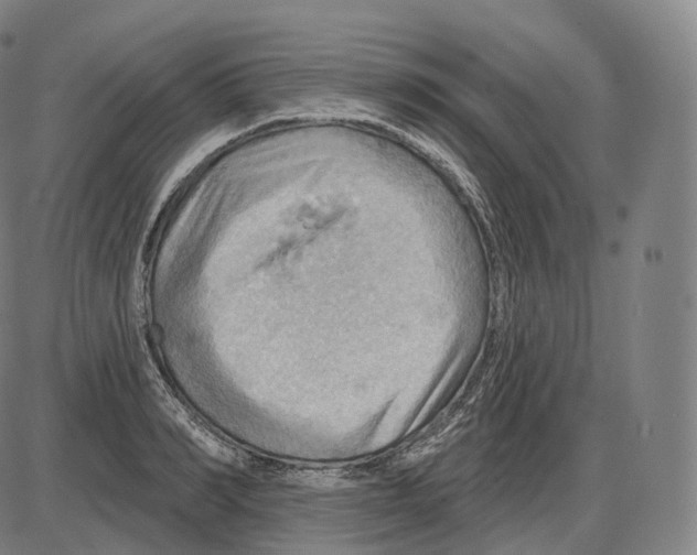 X0000083970990200703161527