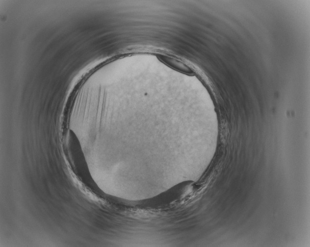 X0000083970995200703161526