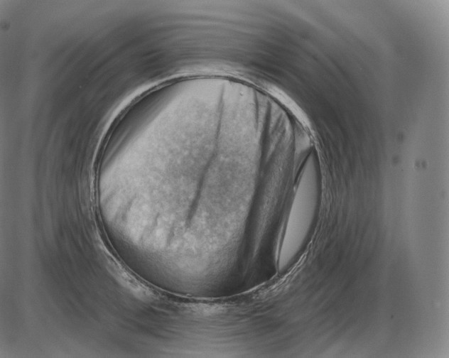 X0000083970996200703161526