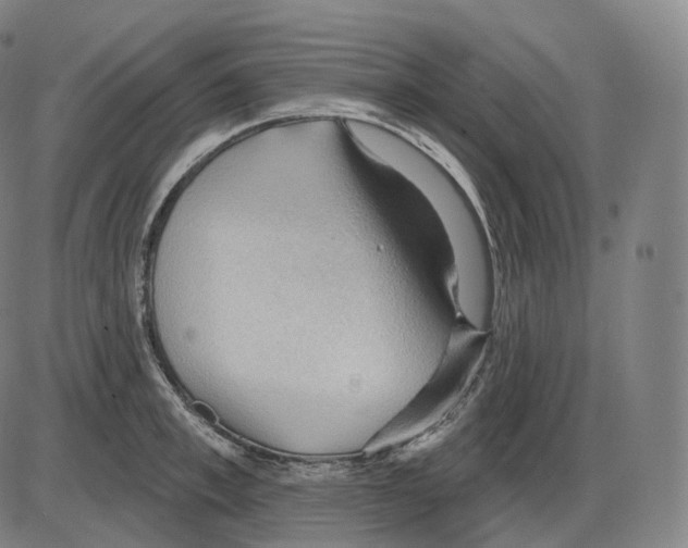 X0000083970997200703161526