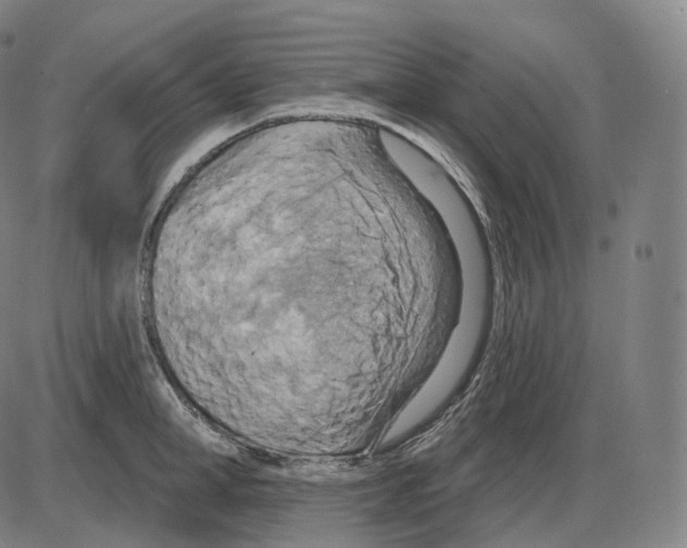 X0000083970998200703161526