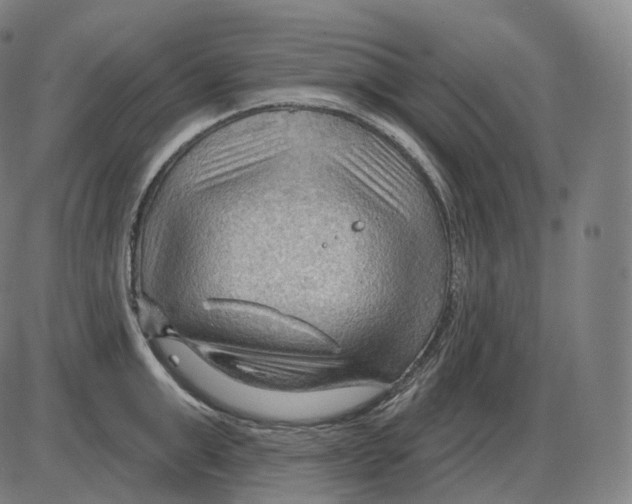 X0000083970999200703161526