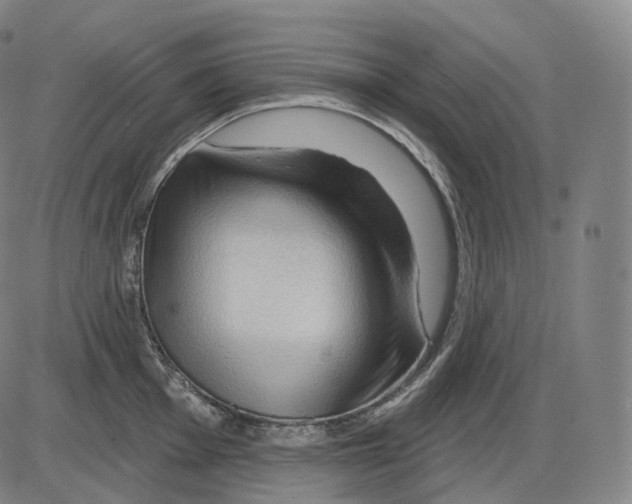 X0000083971001200703161526