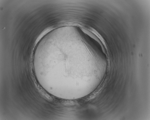 X0000083971002200703161526