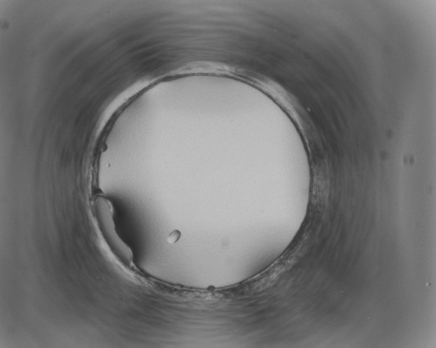 X0000083971003200703161526