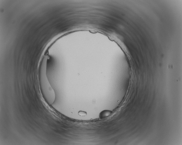 X0000083971004200703161526